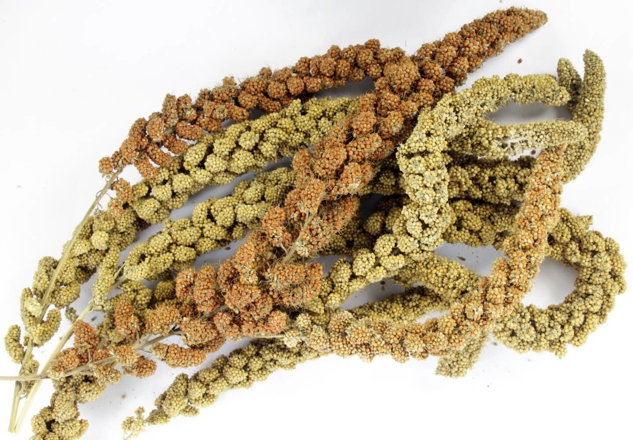 ESVE ESVE Pet Bouquet Koker ESVE ESVE Pet Bouquet Koker