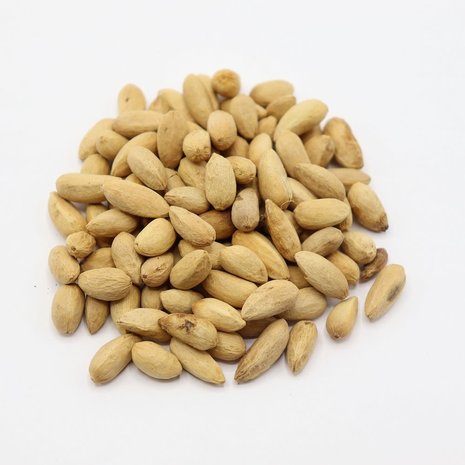 Herbimals Herbimals Neemzaden - Antelaea Azadirachta Herbimals Herbimals Neemzaden - Antelaea Azadirachta