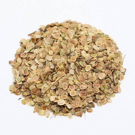 Herbimals Herbimals Pastinaak zaden - Pastinaca sativa subsp. sativa Herbimals Herbimals Pastinaak zaden - Pastinaca sativa subsp. sativa