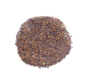 Herbimals Herbimals Wild Kattenkruid zaden - Nepeta cataria - 1 gram Herbimals Herbimals Wild Kattenkruid zaden - Nepeta cataria - 1 gram