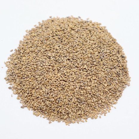 Herbimals Herbimals Framboos zaden - Rubus idaeus Herbimals Herbimals Framboos zaden - Rubus idaeus