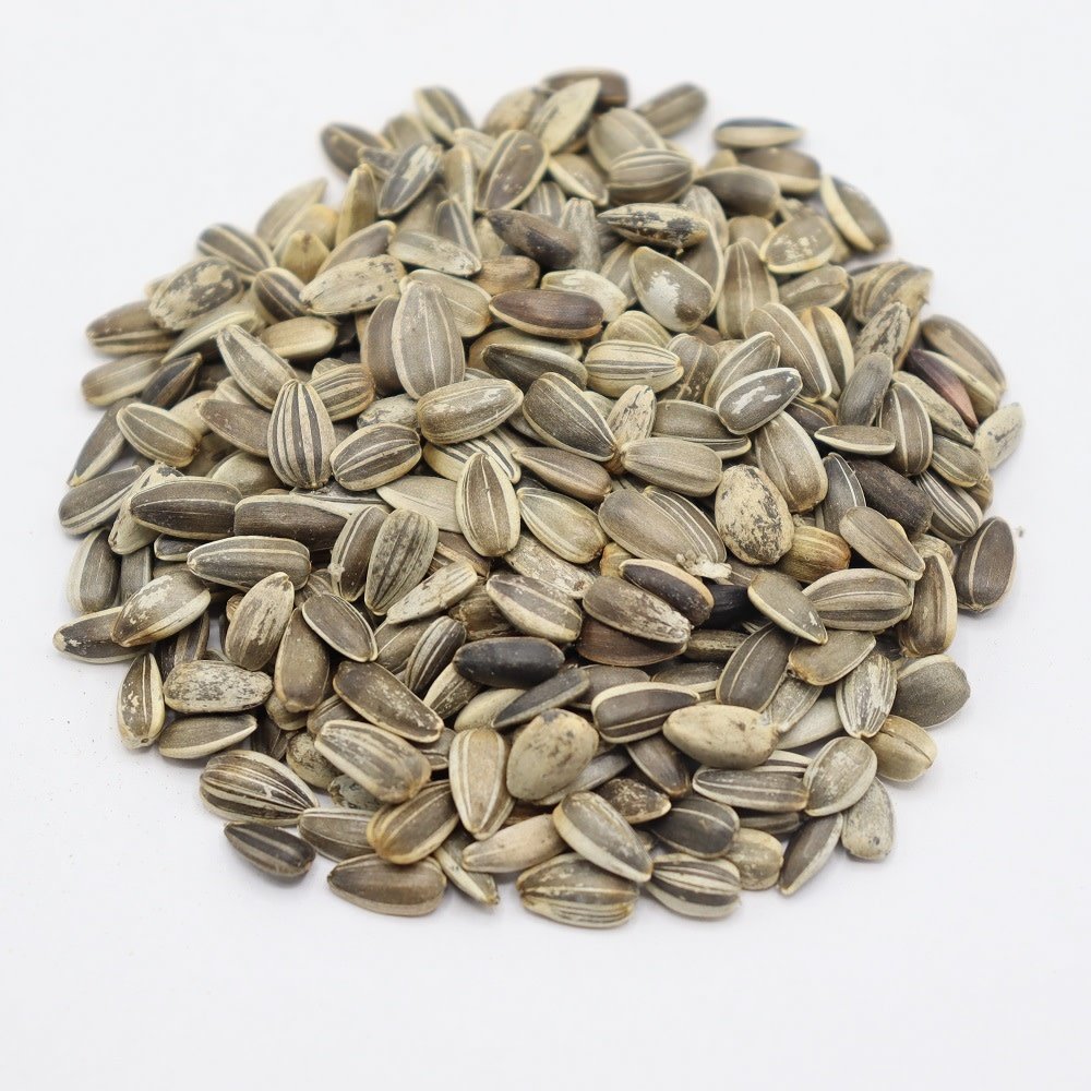 Herbimals Herbimals Laagblijvende zonnebloemzaden - Helianthus annuus Herbimals Herbimals Laagblijvende zonnebloemzaden - Helianthus annuus