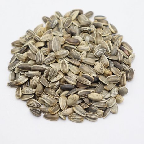 Herbimals Herbimals Laagblijvende zonnebloemzaden - Helianthus annuus Herbimals Herbimals Laagblijvende zonnebloemzaden - Helianthus annuus