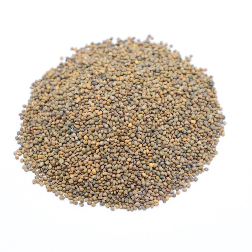 Herbimals Herbimals Rucola zaden - Eruca vesicaria ssp. sativa Herbimals Herbimals Rucola zaden - Eruca vesicaria ssp. sativa