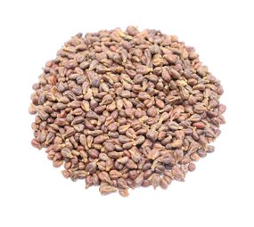 Herbimals Herbimals Druivenpitten Herbimals Herbimals Druivenpitten