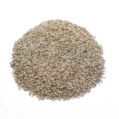 Herbimals Herbimals Peterselie zaden - Petroselinum crispum Herbimals Herbimals Peterselie zaden - Petroselinum crispum