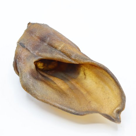 Bark-Bite Bark-Bite Wilde Zwijnenoren – 10 stuks Bark-Bite Bark-Bite Wilde Zwijnenoren – 10 stuks