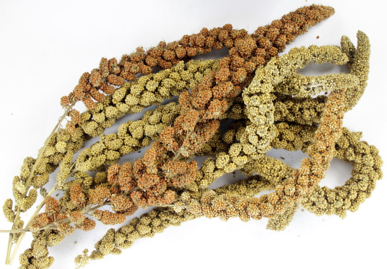 ESVE ESVE Pet Bouquet Koker ESVE ESVE Pet Bouquet Koker