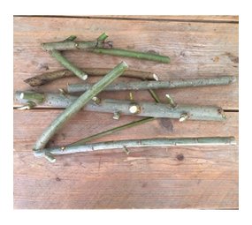 Herbimals Herbimals vers Wilgenhout XL - uit de vriezer - circa 500 gram Herbimals Herbimals vers Wilgenhout XL - uit de vriezer - circa 500 gram