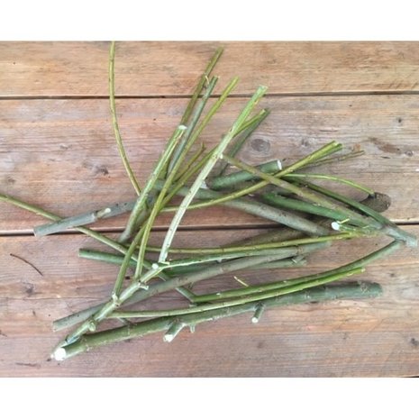 Herbimals Herbimals vers Wilgenhout XL - uit de vriezer - circa 500 gram Herbimals Herbimals vers Wilgenhout XL - uit de vriezer - circa 500 gram