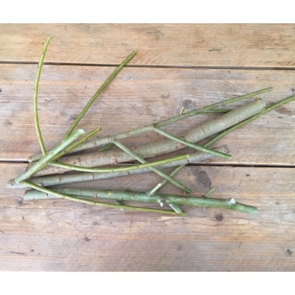 Herbimals Herbimals vers Wilgenhout XL - uit de vriezer - circa 500 gram Herbimals Herbimals vers Wilgenhout XL - uit de vriezer - circa 500 gram