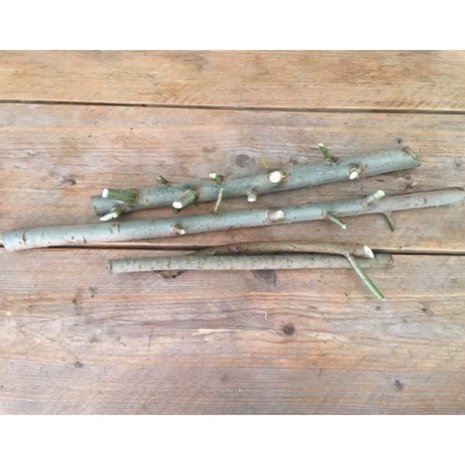 Herbimals Herbimals vers Wilgenhout XL - uit de vriezer - circa 500 gram Herbimals Herbimals vers Wilgenhout XL - uit de vriezer - circa 500 gram