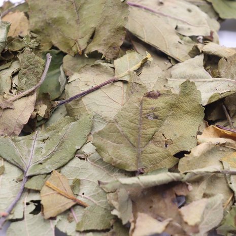 Herbimals Herbimals Appelblad - grof Herbimals Herbimals Appelblad - grof