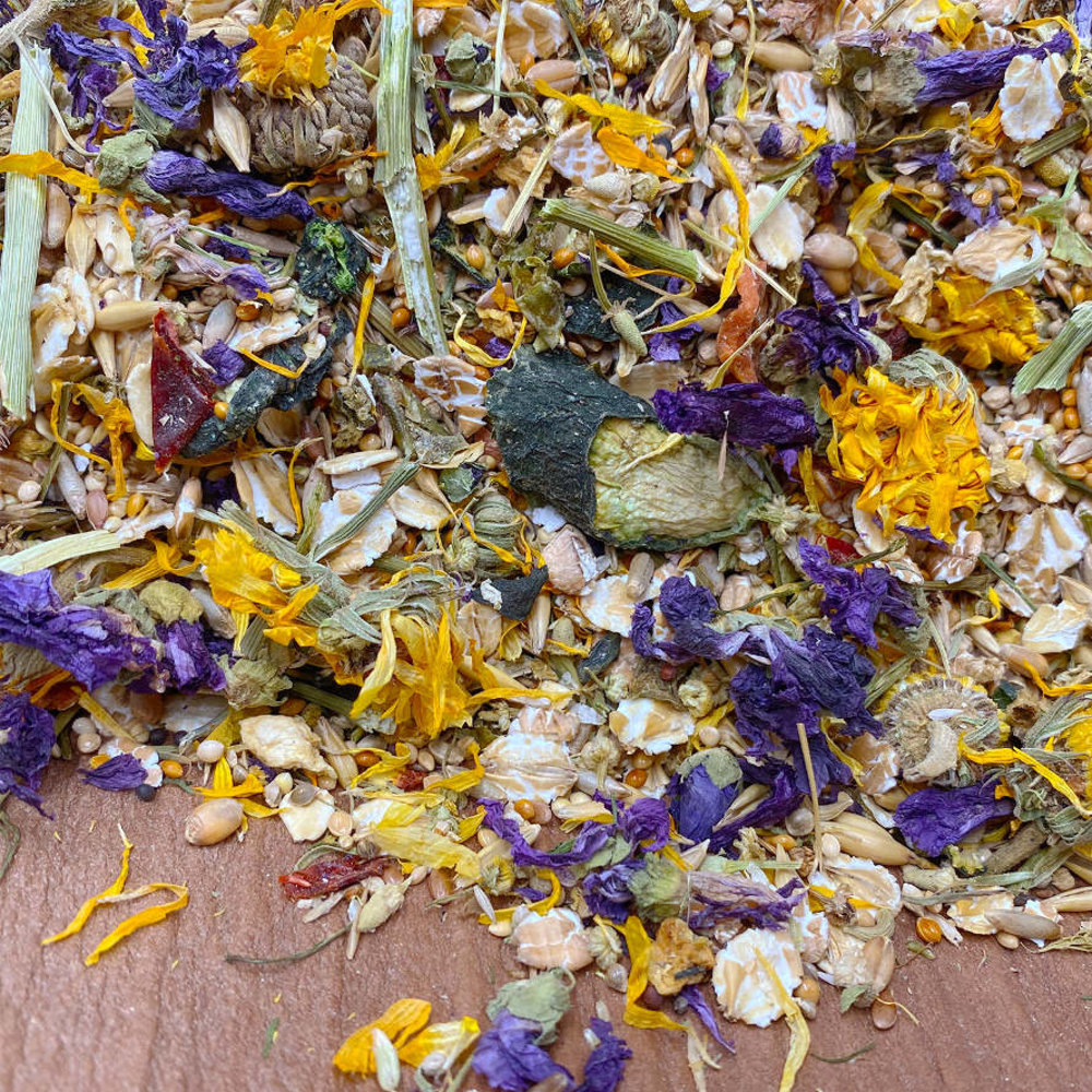 Mixerama Mixerama Muizenvoer Gourmet Menu Mixerama Mixerama Muizenvoer Gourmet Menu