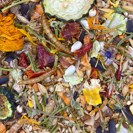 Mixerama Mixerama Gerbilvoer Gourmet Menu Mixerama Mixerama Gerbilvoer Gourmet Menu