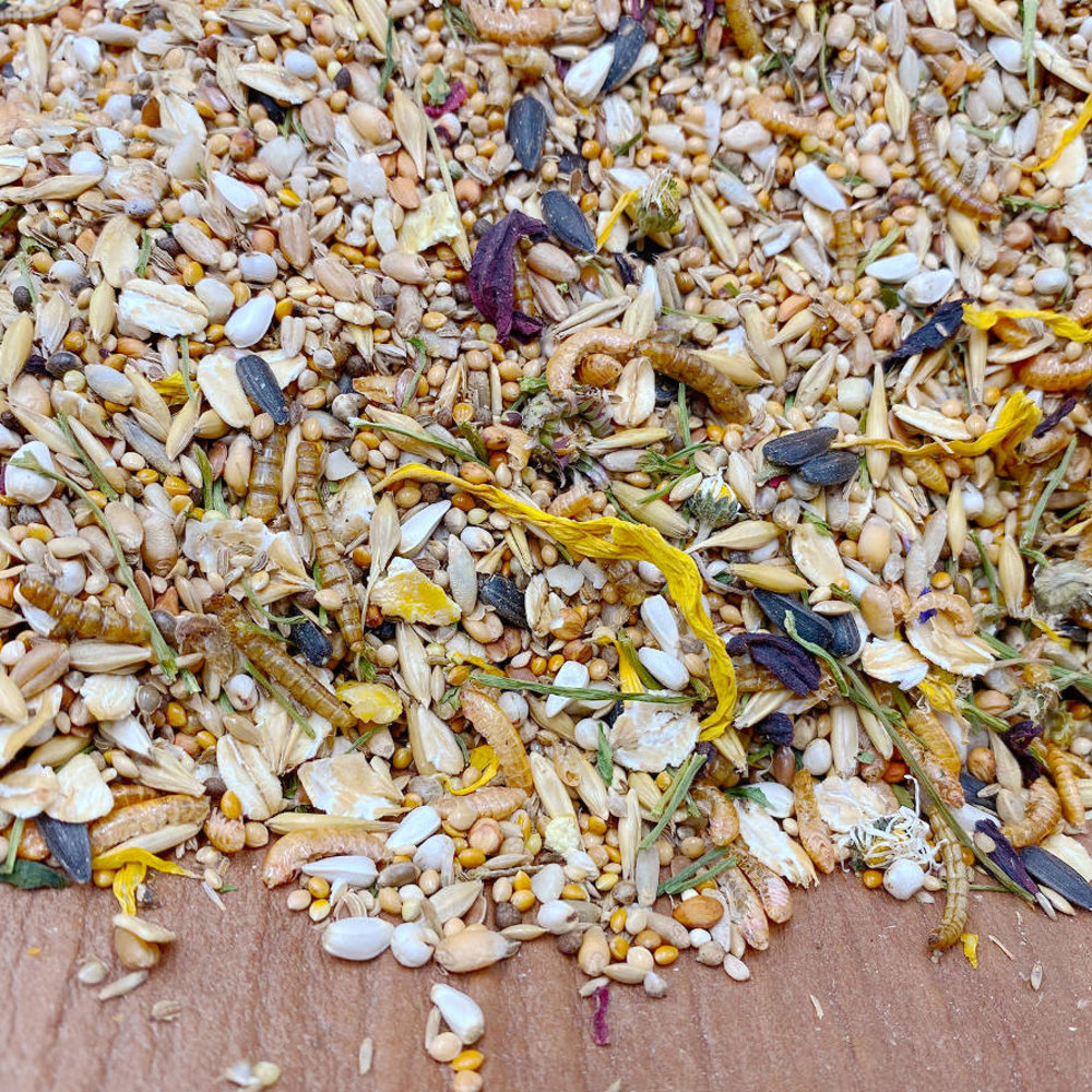 Mixerama Mixerama Muizenvoer Spotted Mousery Mixerama Mixerama Muizenvoer Spotted Mousery