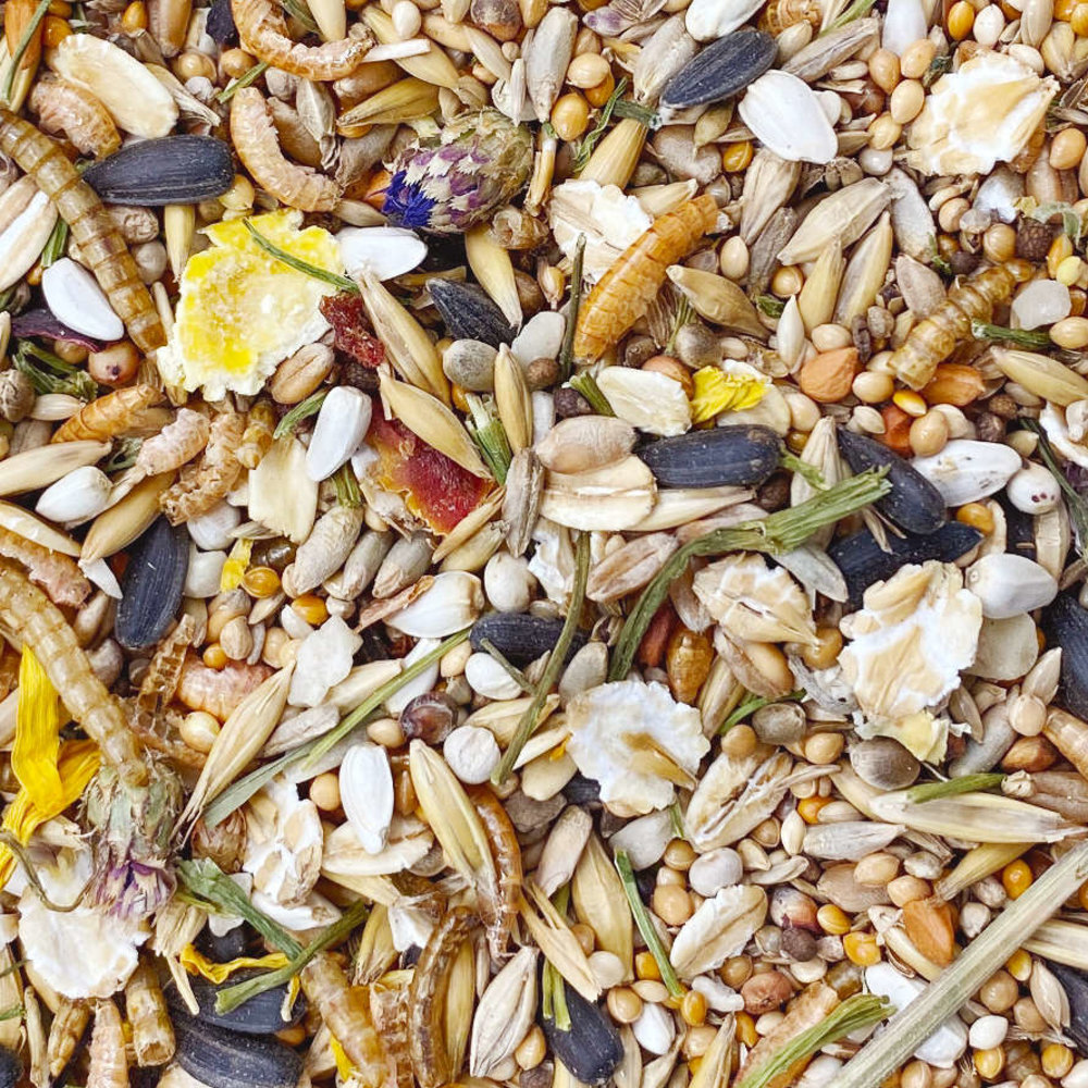 Mixerama Mixerama Muizenvoer Spotted Mousery Mixerama Mixerama Muizenvoer Spotted Mousery