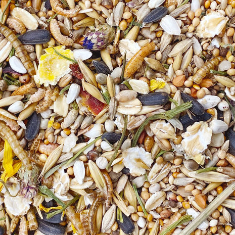 Mixerama Mixerama Muizenvoer Spotted Mousery Mixerama Mixerama Muizenvoer Spotted Mousery