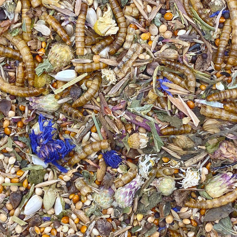 Mixerama Mixerama Dwerghamster Roborovski Gourmet Menu Mixerama Mixerama Dwerghamster Roborovski Gourmet Menu