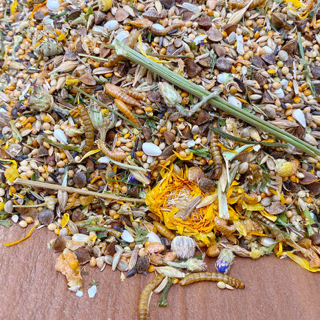 Mixerama Mixerama Dwerghamster Zwergenzauber Mixerama Mixerama Dwerghamster Zwergenzauber