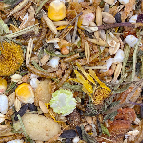 Mixerama Mixerama Goudhamster Fairytale Mixerama Mixerama Goudhamster Fairytale