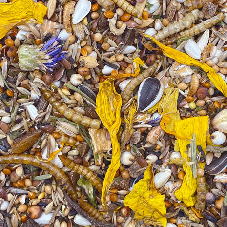 Mixerama Mixerama Dwerghamster Dsungaren Gourmet Menu Mixerama Mixerama Dwerghamster Dsungaren Gourmet Menu