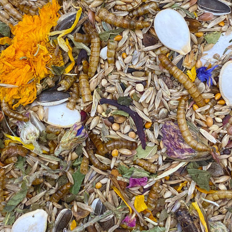 Mixerama Mixerama Dwerghamster Campbelli Gourmet Menu Mixerama Mixerama Dwerghamster Campbelli Gourmet Menu