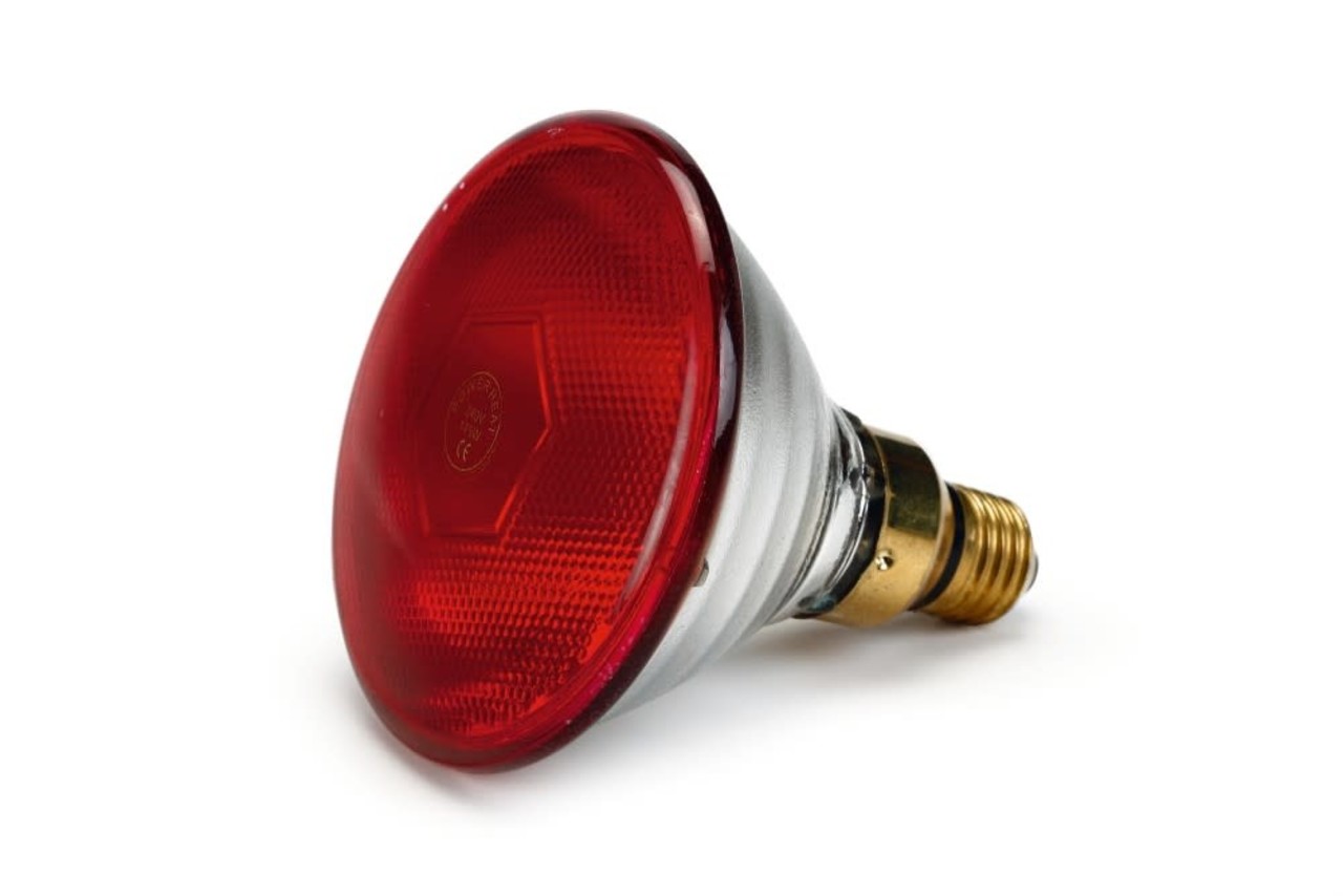 Beeztees Warmtelamp - infrarood - PAR38 - 175 Watt Beeztees Warmtelamp - infrarood - PAR38 - 175 Watt