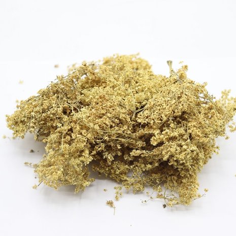 Herbimals Herbimals Vlierbesbloesem - grof Herbimals Herbimals Vlierbesbloesem - grof