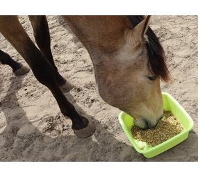 Verlenging begeleiding kruidenbar paard met 2 maanden Verlenging begeleiding kruidenbar paard met 2 maanden