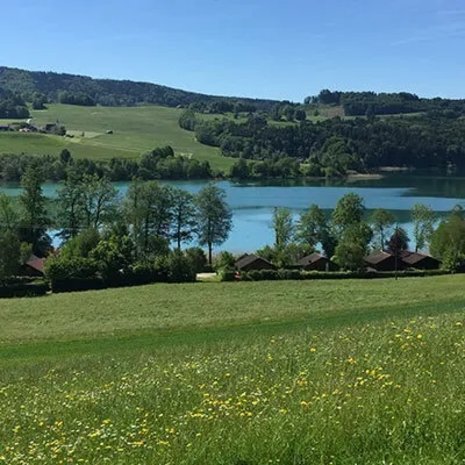 Tiroler hooihuis - 50 x 40 x 40 cm - Circa 6 kilo Premium Oostenrijks Hooi Tiroler hooihuis - 50 x 40 x 40 cm - Circa 6 kilo Premium Oostenrijks Hooi