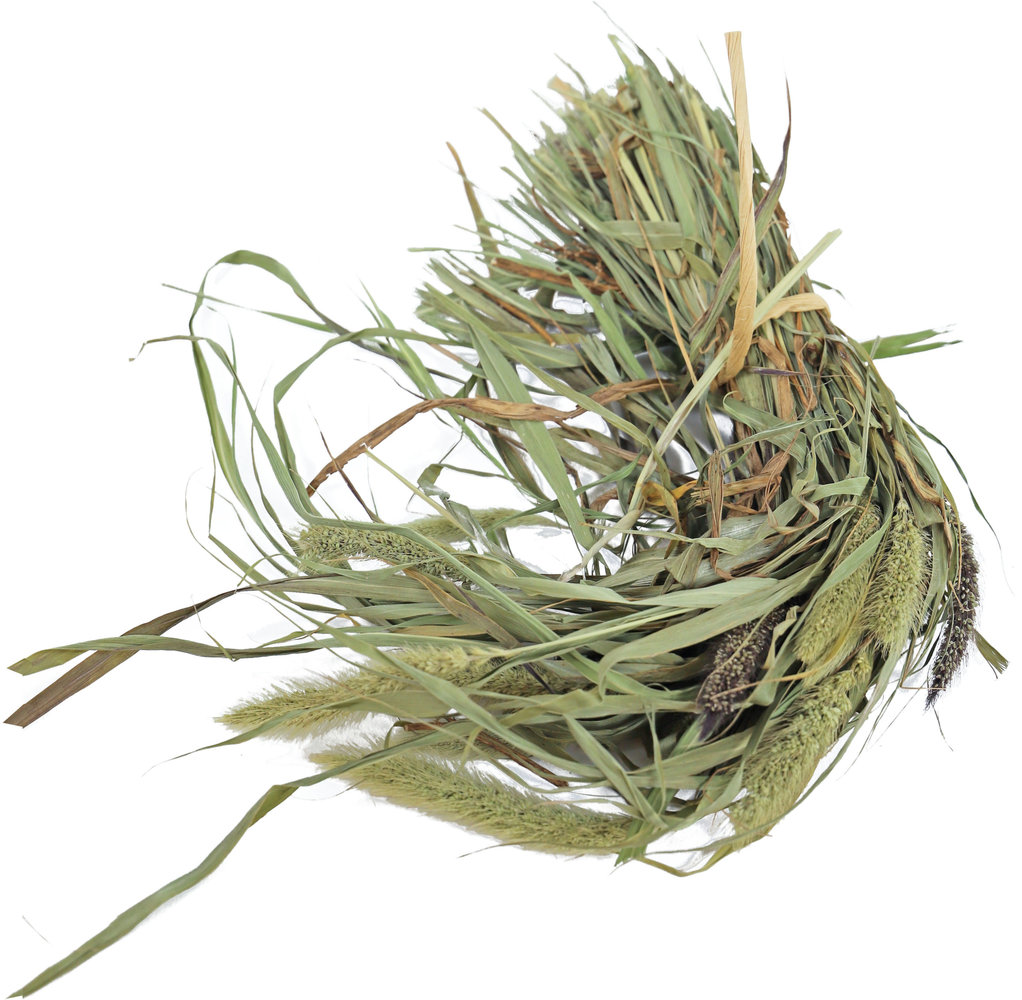 JR Farm JR Farm Senegal Gierst - 50 gram JR Farm JR Farm Senegal Gierst - 50 gram