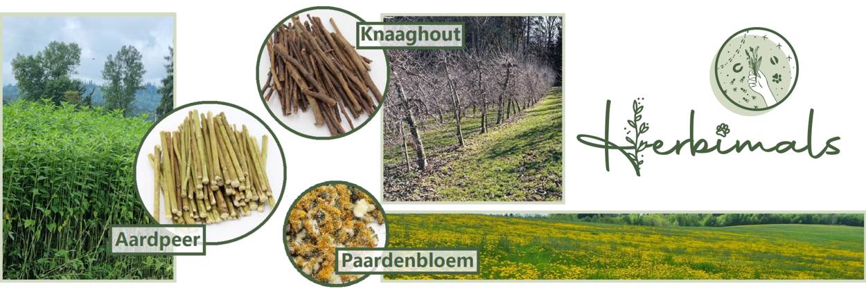 Het verhaal achter de D-tails - Herbimals kruiden. Het verhaal achter de D-tails - Herbimals kruiden.