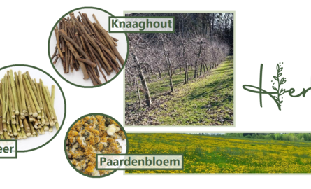 Het verhaal achter de D-tails - Herbimals kruiden.