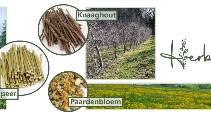 Het verhaal achter de D-tails - Herbimals kruiden.