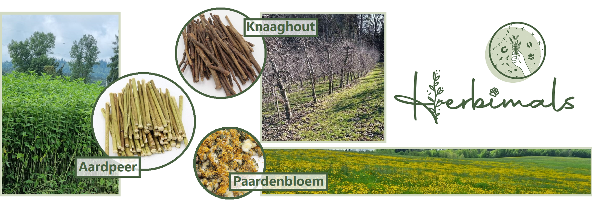 Het verhaal achter de D-tails - Herbimals kruiden.