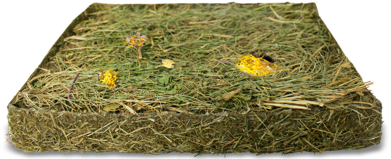 JR Farm JR Farm Kruidenweide met Paardenbloemen - 750 gram JR Farm JR Farm Kruidenweide met Paardenbloemen - 750 gram