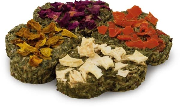 JR Farm JR Farm Grainless Gelukskwartet - 4 stuks JR Farm JR Farm Grainless Gelukskwartet - 4 stuks