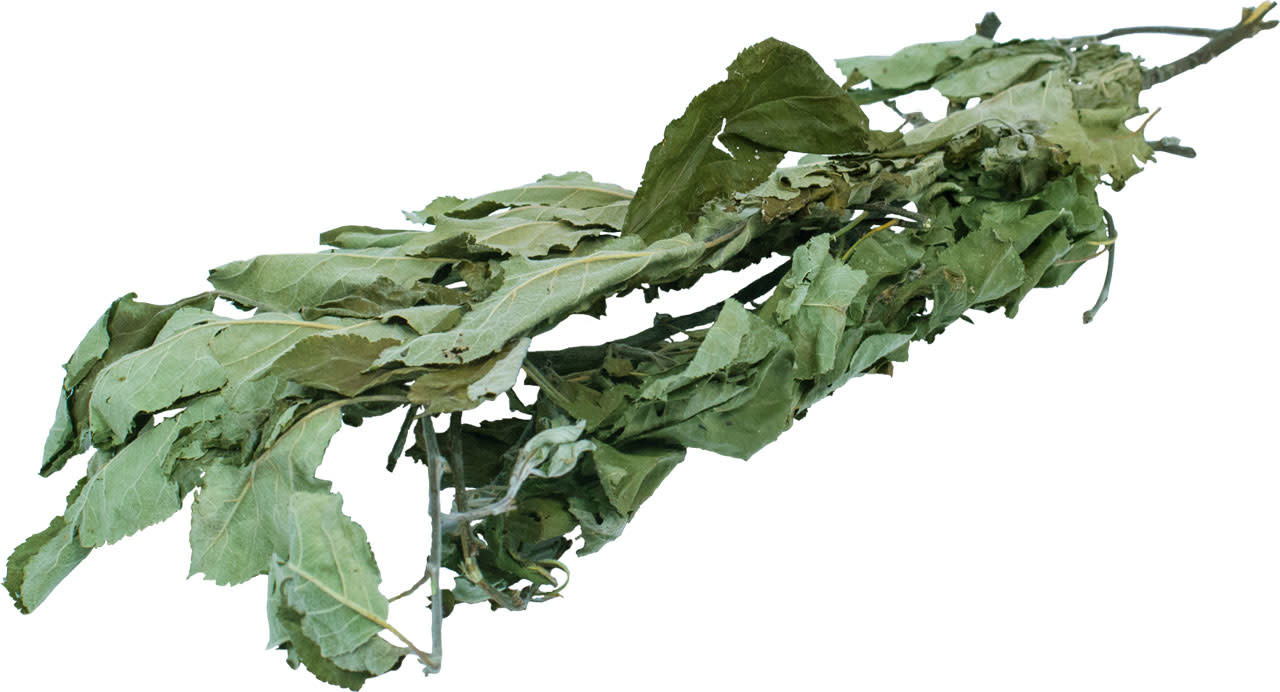 JR Farm JR Farm Oogst Appelboom - 40 gram JR Farm JR Farm Oogst Appelboom - 40 gram