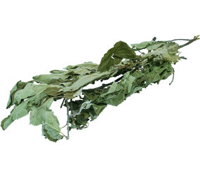 JR Farm JR Farm Oogst Appelboom - 40 gram JR Farm JR Farm Oogst Appelboom - 40 gram