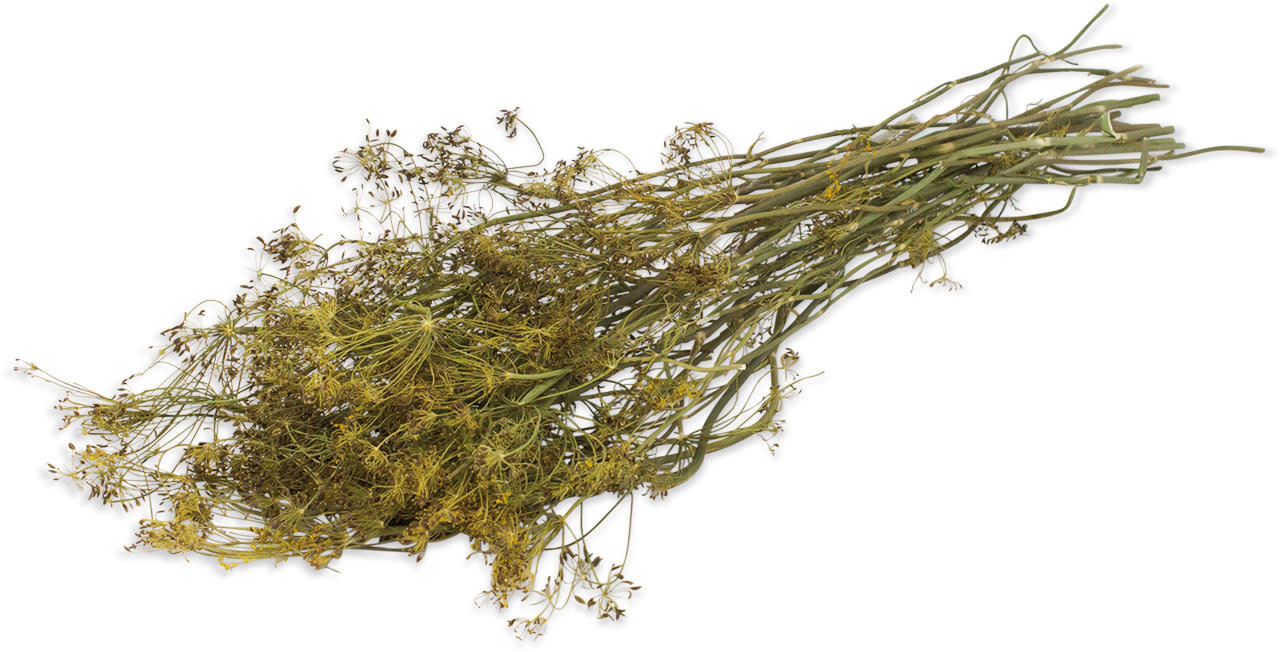 JR Farm JR Farm Oogst Dille - 80 gram JR Farm JR Farm Oogst Dille - 80 gram