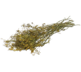 JR Farm JR Farm Oogst Dille - 80 gram JR Farm JR Farm Oogst Dille - 80 gram