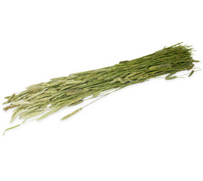 JR Farm JR Farm Oogst Timothee - 80 gram JR Farm JR Farm Oogst Timothee - 80 gram