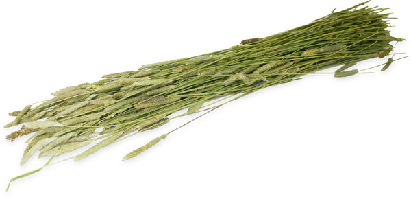 JR Farm JR Farm Oogst Timothee - 80 gram JR Farm JR Farm Oogst Timothee - 80 gram