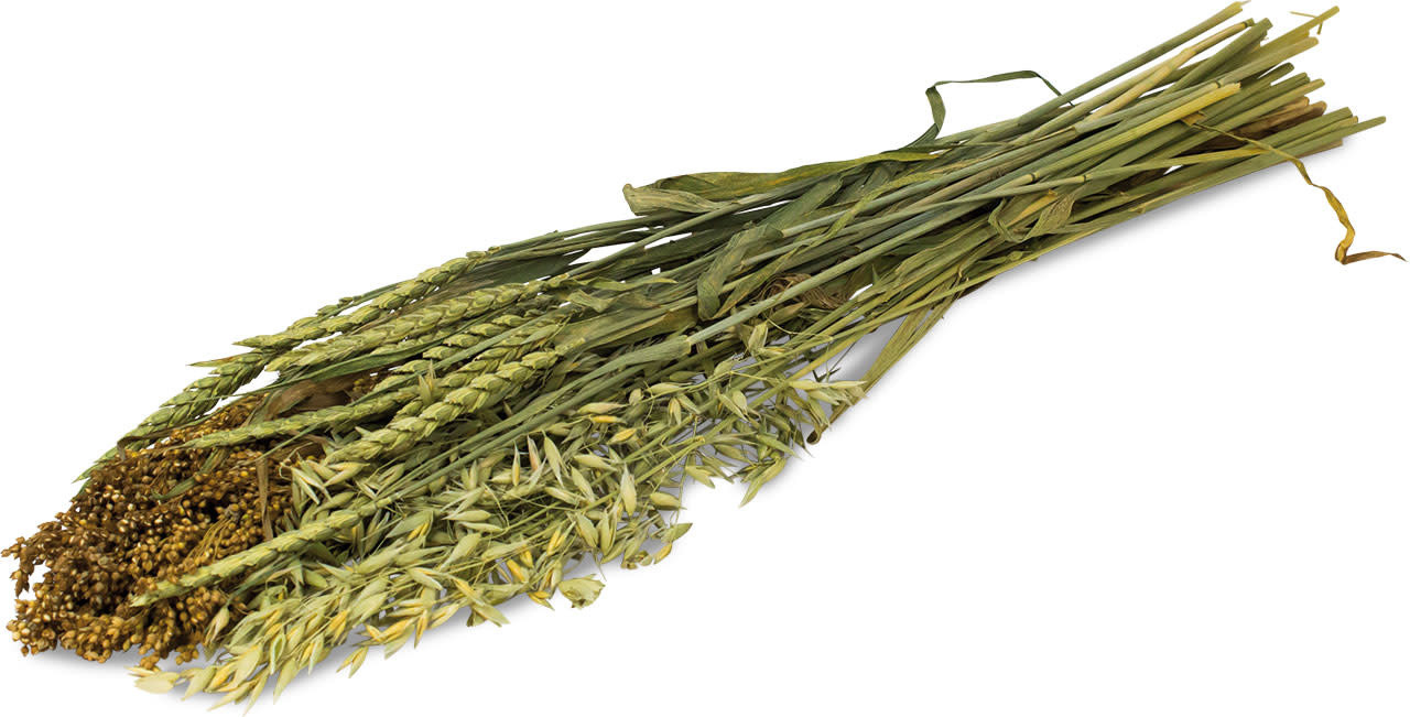 JR Farm JR Farm Oogst Zomer - 80 gram