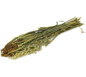 JR Farm JR Farm Oogst Zomer - 80 gram