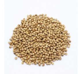 Herbimals Herbimals Koriander zaden - 10 gram - 1000 zaden Herbimals Herbimals Koriander zaden - 10 gram - 1000 zaden