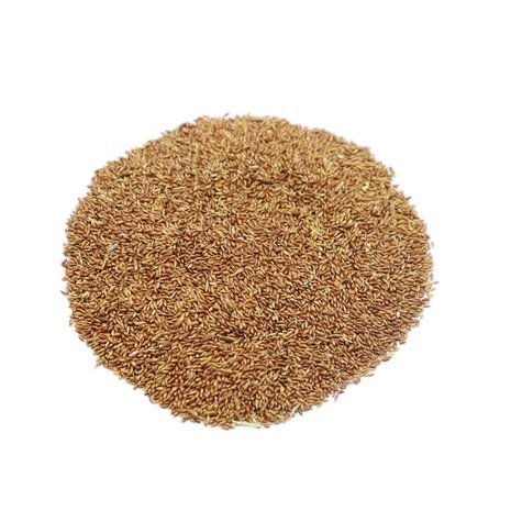 Herbimals Herbimals Gewoon Reukgras zaden - 1 gram Herbimals Herbimals Gewoon Reukgras zaden - 1 gram