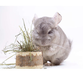 Herbimals Losse Herbimals Kruidenbox - Chinchilla's Herbimals Losse Herbimals Kruidenbox - Chinchilla's