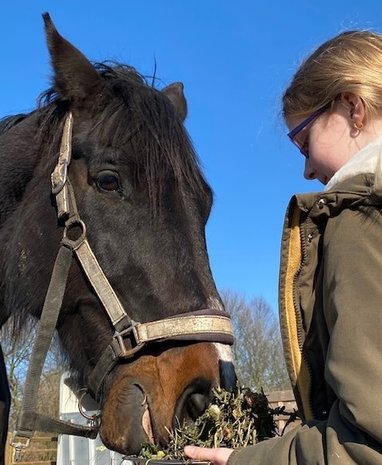 Herbimals Losse Herbimals Kruidenbox - Maandbox - Paard vanaf 400 kilo Herbimals Losse Herbimals Kruidenbox - Maandbox - Paard vanaf 400 kilo